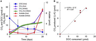 Metatranscriptomic Analysis Reveals Unexpectedly Diverse Microbial Metabolism in a Biogeochemical Hot Spot in an Alluvial Aquifer